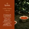 Spaas Citronella Outdoor-Kerze im Terrakotta-Schale - Rot - Produktbild-Vorschau 8