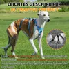 Harnais de sécurité pour chien, anti-évasion, Voir les images du produit 8