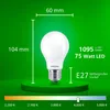 Philips Żarówka żarnikowa matowa 75 W A60 E27, 5,2 W, 75 W, Podgląd zdjęcia produktu 13