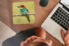 MuchoWow® Mauspad Mousepad Vogel - Bienenfresser - Tiere Produktbild-Vorschau 3