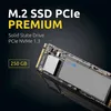 Intenso PREMIUM - SSD - 250 GB - interno - M.2 2280 - PCIe Anteprima dell’immagine prodotto 7