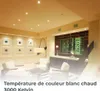 A well-lit living room with modern furniture and a wine display. Anteprima dell’immagine prodotto