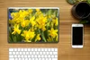 MuchoWow® Laptop Aufkleber Sticker Cover Blume - Narzissen Produktbild-Vorschau 2