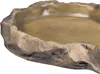 Exo Terra Feeding Dish - Futterschale, extra groß Produktbild-Vorschau 8
