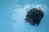 Interline poolroboter Walking Catfish 2.0 Produktbild-Vorschau 5