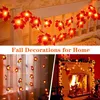 2 PCS Home Herbst Dekorationen, Thanksgiving Lichter, Produktbild-Vorschau 8