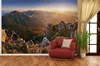 Wallario Fototapete Vliestapete, seidenmatte Oberfläche, Produktbild-Vorschau 3