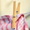 Wäscheklammer aus Bambus ( 6cm ), 96 Stück, Bambusklammer Produktbild-Vorschau 7