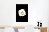 MuchoWow® Poster Blume - Weiß - Rose 40x60 cm - Plakate für Produktbild-Vorschau 5