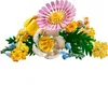 LEGO® Botanicals 10347 Kleiner Sommerstrauß Produktbild-Vorschau 49