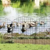 WOLTU 10 x Gartenzaun, Gitterzaun Oberbogen, Zaun für Produktbild-Vorschau 8