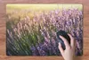 Podložka pod myš - Levandule na poli - 60x40cm - Podložka Náhled obrázku produktu 3