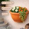 Blumentopf Wand Wandvase Wandblumentopf Blumentopf Produktbild-Vorschau 6
