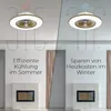 A split image showing a ceiling fan with light in summer (cooling) and winter (heating cost saving) modes. Produktbild-Vorschau