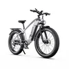 E-Bike Cityrad F26lite 48V 18Ah 864Wh 100km Reichweite Produktbild-Vorschau 2