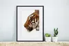 MuchoWow® MuchoWow® Gerahmtes Poster Nahaufnahme eines Produktbild-Vorschau 6
