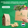 Cibule lilie calla, mrazuvzdorné, víceleté – směs fialových Náhled obrázku produktu 5