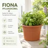 Pflanztopf Fiona Terrakotta Ø 20cm - Frostsicher & Produktbild-Vorschau 2