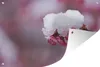 MuchoWow® Produktbild-Vorschau 1