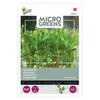 Semienka hrachu Buzzy Microgreens Marker - cca 15 gr | Náhľad obrázku produktu 4