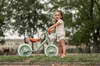 Lorelli ENERGY 2in1 Laufrad & Fahrrad mit Pedalen + Produktbild-Vorschau 29