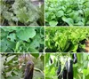 Insektenschutznetze Für Brassica 3X10M 60Mesh Produktbild-Vorschau 3