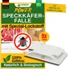 GREEN GUARDIA Speckkäfer Falle mit Spezial-Lockstoff - 9X Produktbild-Vorschau 1