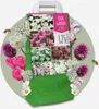 Blumenzwiebelmischung - 125 Stk - Allium, Narcissus, Produktbild-Vorschau 6