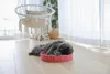 KERBL Scratch Bed Circle - Škrabadlo pre mačky - 34cm Náhľad obrázku produktu 3