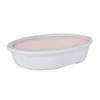 A white oval bonsai pot with a pink interior, isolated on a white background. Produktbild-Vorschau