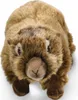 A stuffed toy marmot is shown from a top-down perspective against a white background. Produktbild-Vorschau