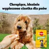 Pedigree Biscrok Multi Mix 200g Chrupiące Ciastka Przysmak Podgląd zdjęcia produktu 5