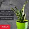 KADAX Doniczka Plastikowa z Podstawką Donica Osłonka Na Podgląd zdjęcia produktu 7