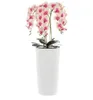Künstliche Orchidee Cremerosa Kaskaden Blumenstrauß im Topf Produktbild-Vorschau 1