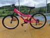 Dino Bikes 8006817906261, Mountainbike, Erwachsene, Unisex, Produktbild-Vorschau 2