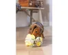 Beeztees Welpe Izzy Schnüffelball - Hundespielzeug - Produktbild-Vorschau 7