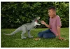 Jurassic World : Die Wiedergeburt Riesendino Tyrannosaurus Produktbild-Vorschau 19