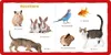 Meine ersten 100 Tiere Produktbild-Vorschau 4