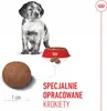 Royal Canin Medium Junior - 4 kg Produktbild-Vorschau 7
