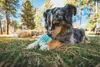 Ruffwear Hundespielzeug Morel™ Blue Prism Produktbild-Vorschau 4