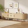 A light wood TV stand with ribbed doors and drawers, decorated with a vase of dried flowers, a bowl, and books, placed in a living room setting with artwork on the wall and a plant. Podgląd zdjęcia produktu