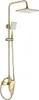 A gold shower fixture set against a white background. Anteprima dell’immagine prodotto