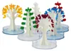 Kit pédagogique créatif pour la culture d'arbres en cristal Voir les images du produit 2