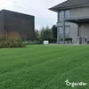 Schattenrasen Samen Elegant - 1 kg = 50 m2 – Rasensaat Für Produktbild-Vorschau 4