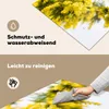 KitchenYeah© Herdabdeckplatte Eine gelbe Mimosenblüte , Produktbild-Vorschau 2