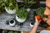 A person is repotting plants on a wooden table. Produktbild-Vorschau