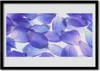 Bild 70x50 MDF-Rahmen Wandkunst Natur Blütenblätter Pflanze Produktbild-Vorschau 1