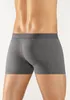 H.I.S. Boxer Boxershorts für Herren 5 -teilig grau-meliert, Produktbild-Vorschau 2