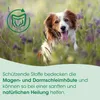 Polvere protettiva dello stomaco per cani 200 g Anteprima dell’immagine prodotto 4