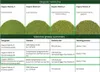 Zestaw Royal Brand Matcha 100 g organicznego proszku Matcha Podgląd zdjęcia produktu 4